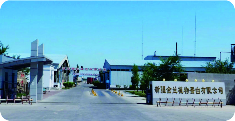 新疆金蘭植物蛋白有限公司300噸/天棉籽脫酚蛋白項(xiàng)目